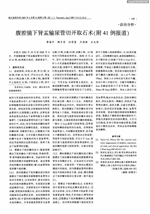 腹腔镜下肾盂输尿管切开取石术(附41例报道)