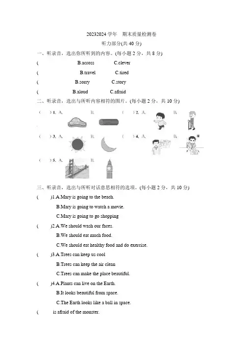 期末质量检测卷(试题)湘少版英语六年级下册