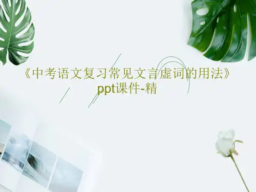 《中考语文复习常见文言虚词的用法》ppt课件-精共24页