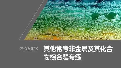 2024届高考一轮复习化学课件(人教版)：非金属及其化合物综合题专练