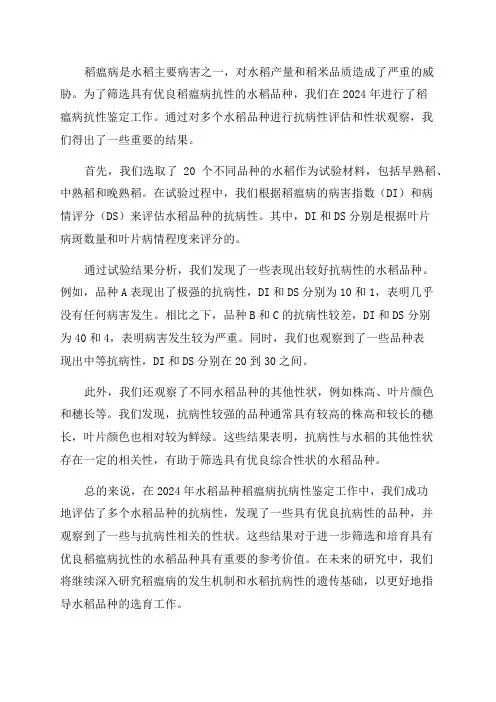 2024年水稻品种稻瘟病抗病性鉴定总结