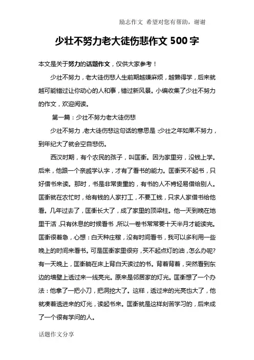 少壮不努力老大徒伤悲作文500字