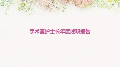 手术室护士长年度述职报告PPT