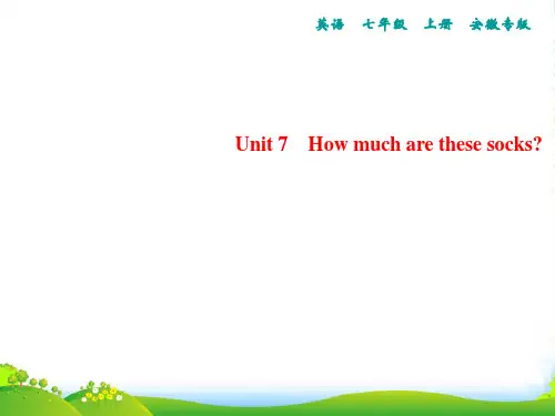 人教版英语七年级上册(安徽专版)习题课件：Unit 7  Section A (1a～2d)