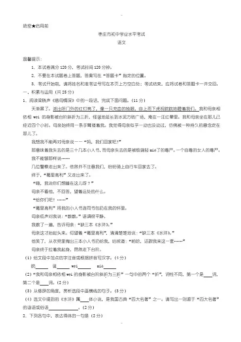 2020届中考复习山东省枣庄市中考语文模拟试题(有配套答案)
