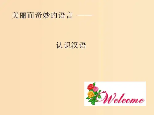 高中语文 第一课 第1节 美丽而奇妙的语言--认识汉语1 新人教版选修《语言文字应用》