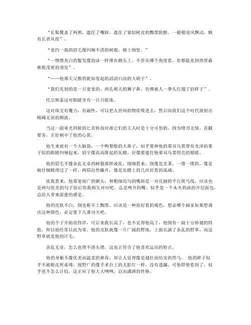 列夫托尔斯泰描写作文