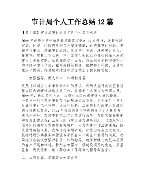 审计局个人工作总结12篇