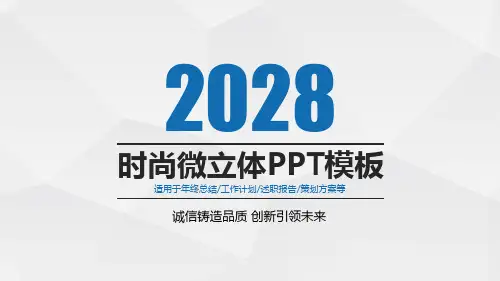 项目运营与规划PPT