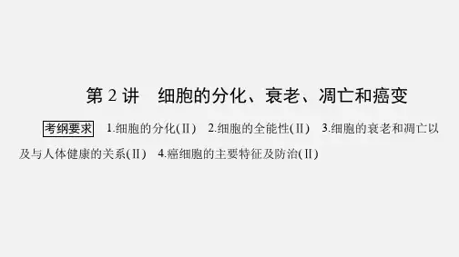 高考生物 二轮复习 专题三 细胞的生命历程 3.2 细胞的分化、衰老、凋亡和癌变