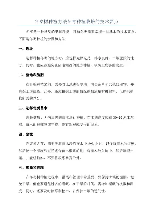 冬枣树种植方法冬枣种植栽培的技术要点