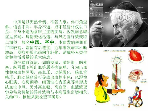 脑和脊髓的被膜、血管及脑脊液和脑屏障