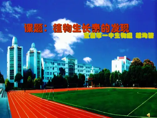 《生长素的发现》PPT课件