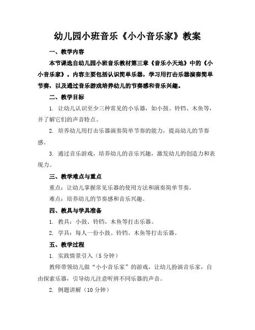 幼儿园小班音乐《小小音乐家》教案