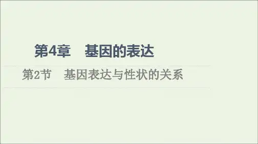 新教材高中生物第4章基因的表达第2节基因表达与性状的关系课件新人教版必修2