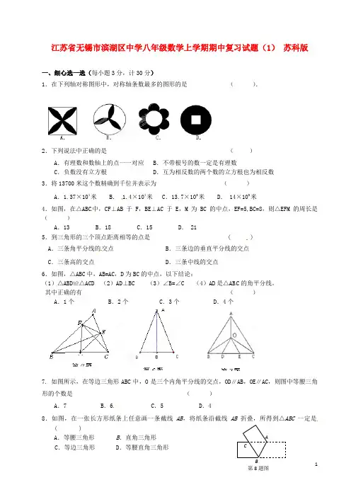 江苏省无锡市滨湖区中学八年级数学上学期期中复习试题