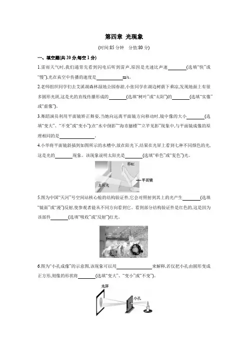第四章 光现象 单元练习 (含答案)2024-2025学年物理人教版(2024)八年级上册