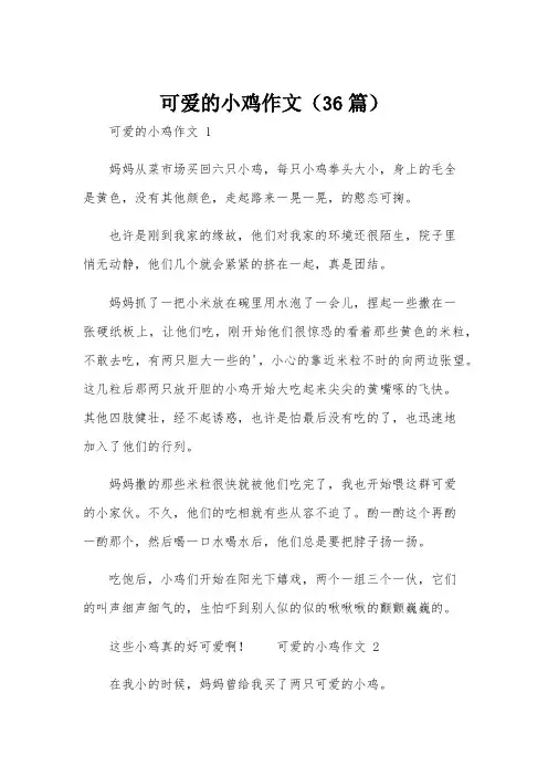可爱的小鸡作文(36篇)