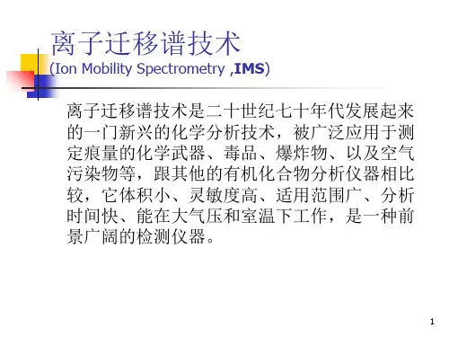 离子迁移(课堂PPT)
