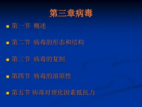 微生物学病毒PPT课件