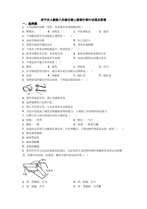 济宁市人教版八年级生物上册期中期中试卷及答案