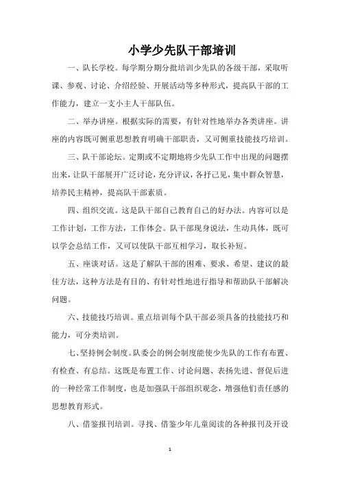 小学少先队干部培训