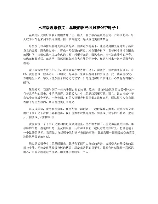 六年级温暖作文：温暖的阳光照射在银杏叶子上