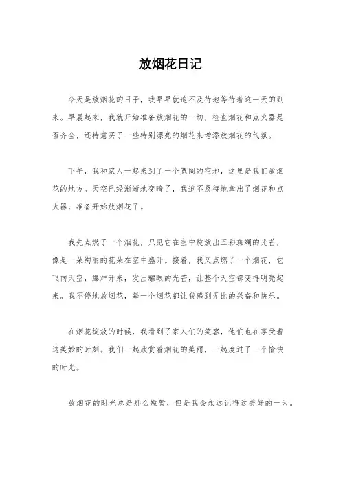 放烟花日记