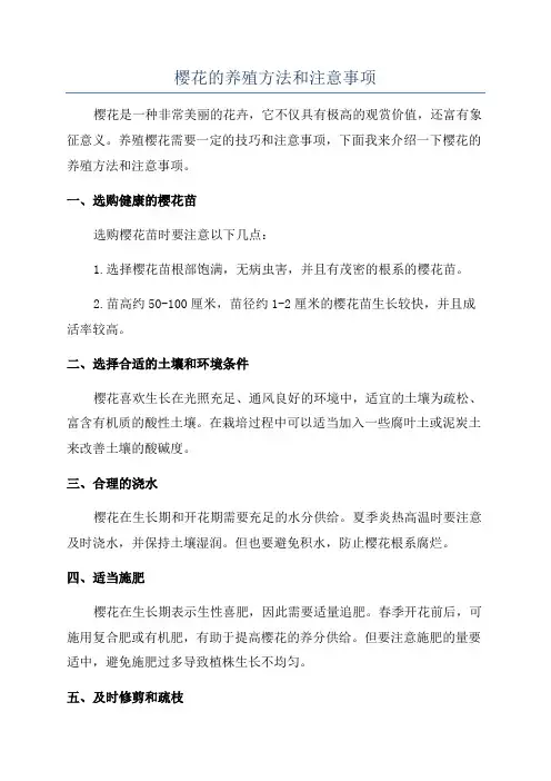 樱花的养殖方法和注意事项