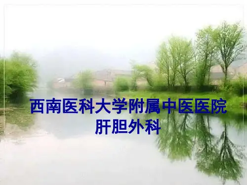 肝脏良性肿瘤的病例汇报-方超