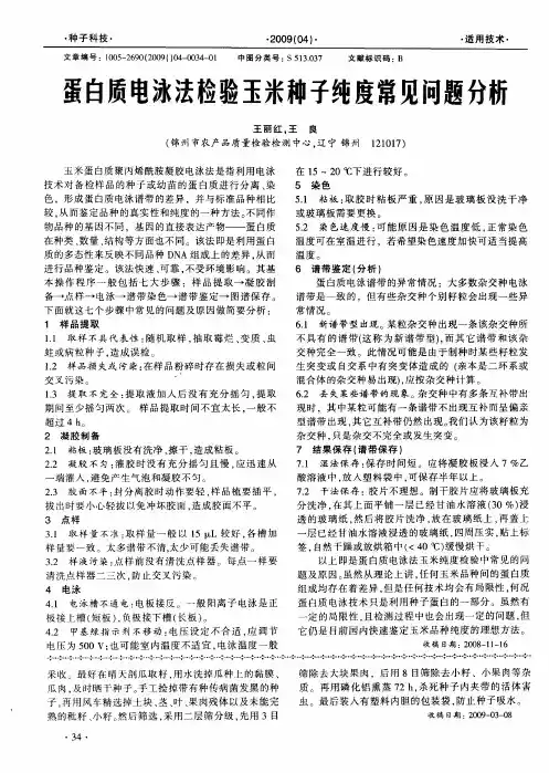 蛋白质电泳法检验玉米种子纯度常见闻题分析