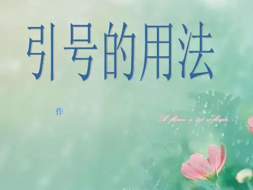 引号的用法PPT