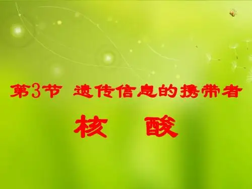 高中生物《第二章 第三节 遗传信息的携带者 核酸》课件6 新人教版必修1