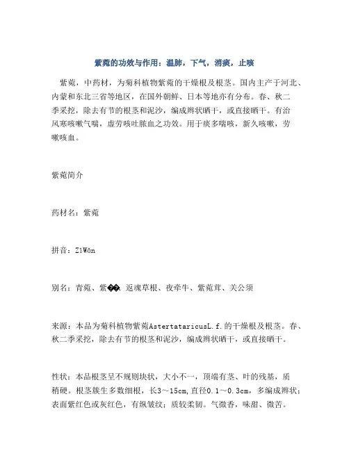 紫菀的功效与作用：温肺,下气,消痰,止咳