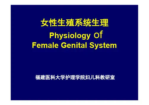高级助产学 第二章 女性生殖系统生理