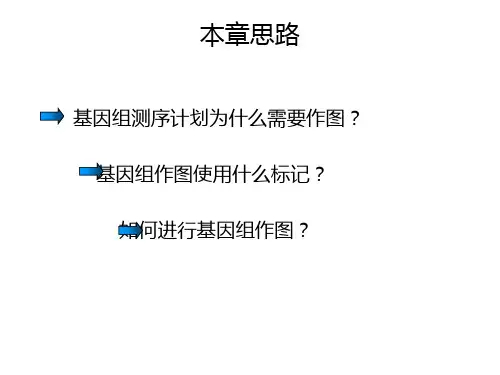 基因组作图