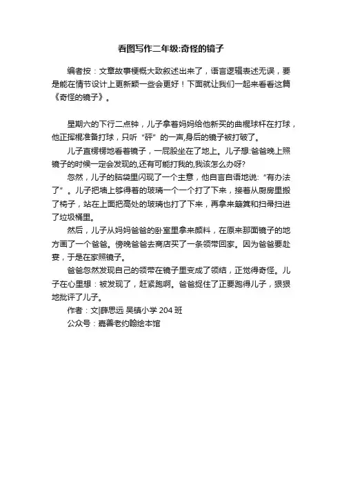 看图写作二年级：奇怪的镜子