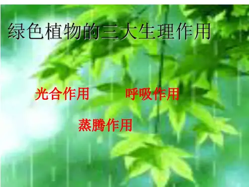 初中生物_植物体的三大生理作用教学课件设计