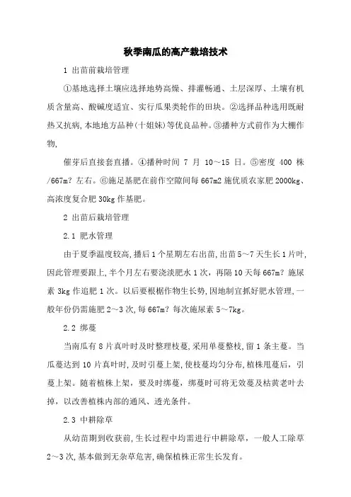 秋季南瓜的高产栽培技术