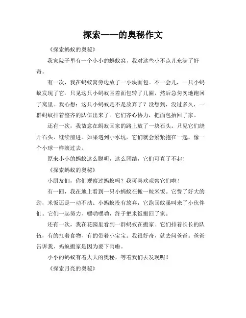 探索——的奥秘作文