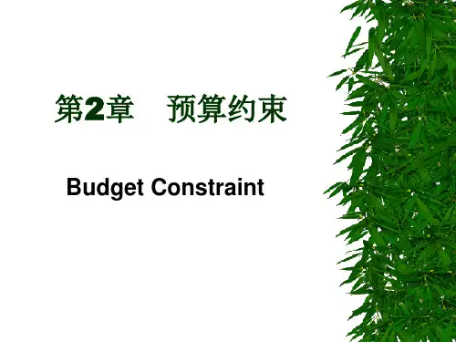 预算约束(范里安微观经济).ppt