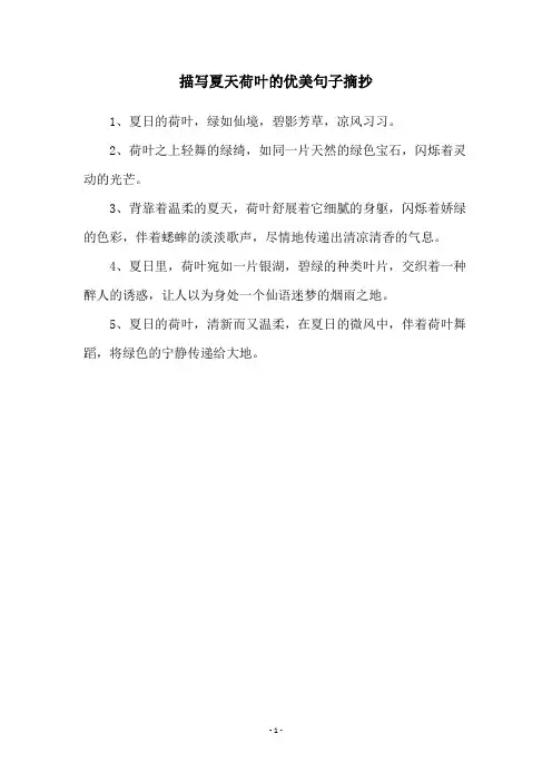 描写夏天荷叶的优美句子摘抄