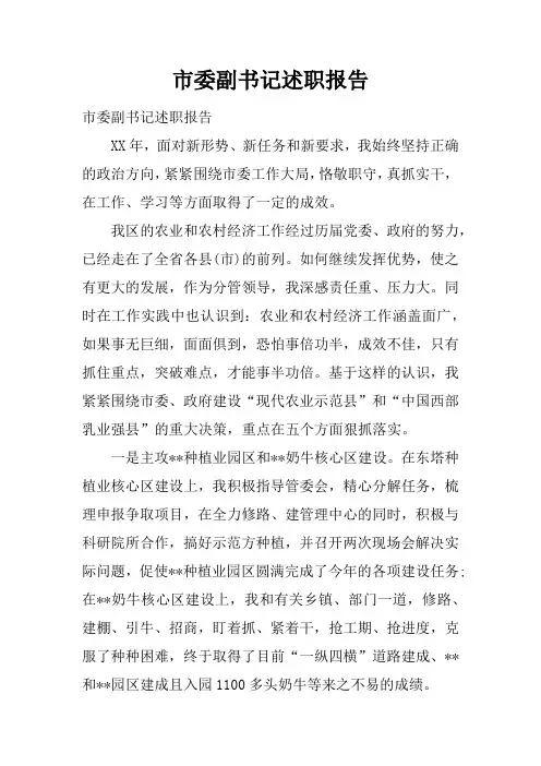 市委副书记述职报告