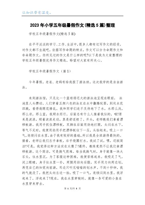 2023年小学五年级暑假作文(精选5篇)整理