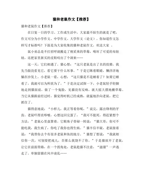 猫和老鼠作文2
