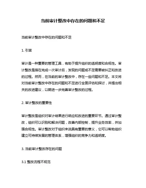 当前审计整改中存在的问题和不足
