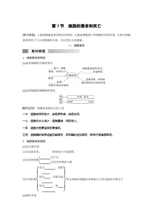 高中生物必修一 同步讲义第6章 第3节 细胞的衰老和死亡