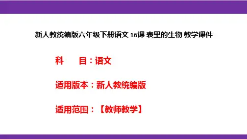 新人教统编版六年级下册语文 16课 表里的生物 教学课件