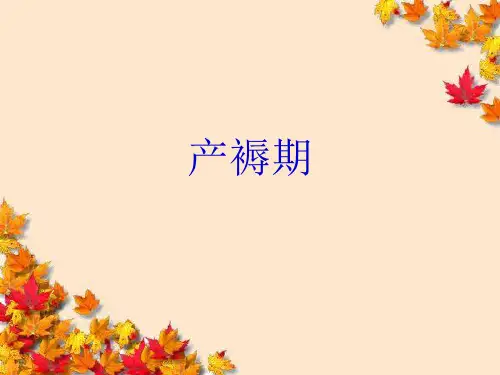 产褥期 PPT课件