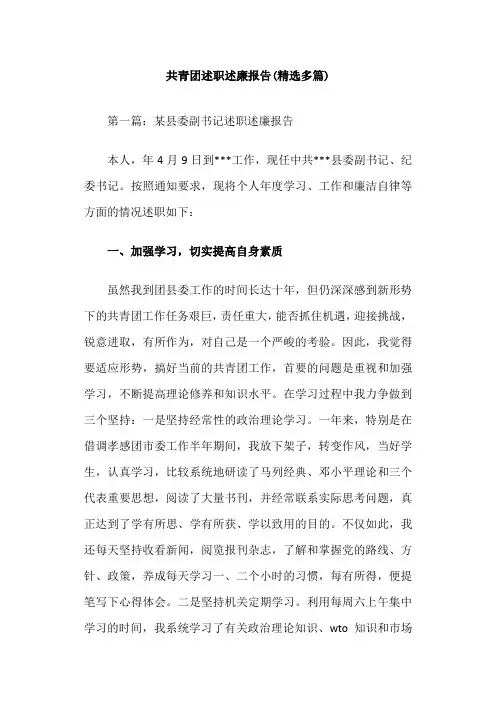 共青团20##述职述廉报告